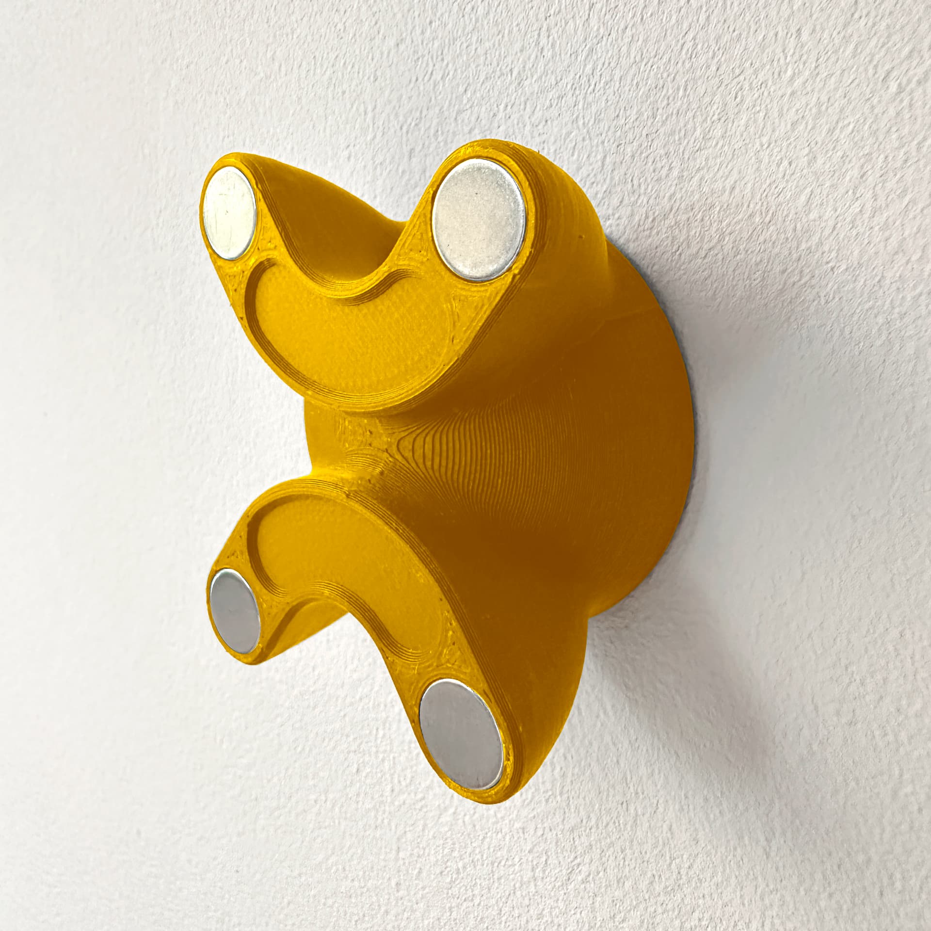 Invisible Skateboard Wall Mount